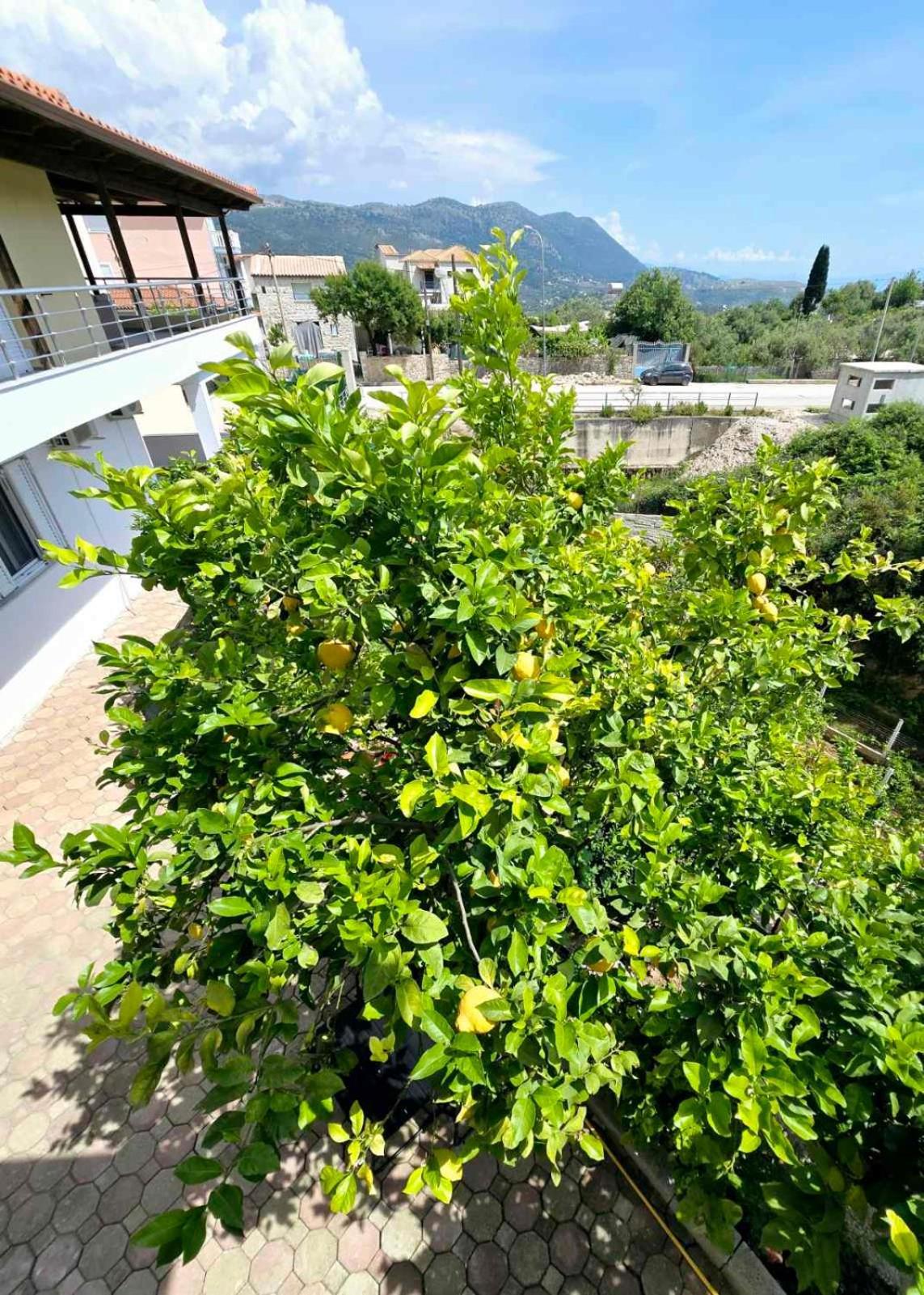 Philoxenia Guest House Himarë Exterior foto